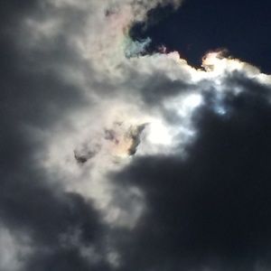 Meet your Posher, Cheryl